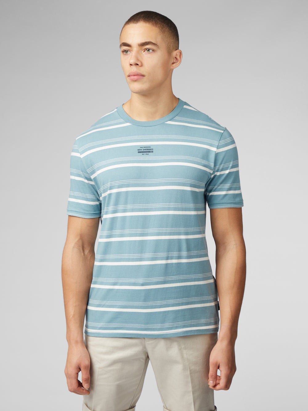 Blue Ben Sherman Fine Stripe T-Shirt | 1742VAFNL